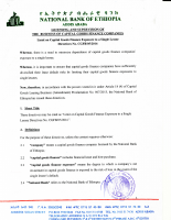 limit on Capital goods.pdf